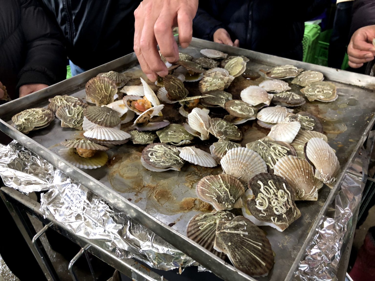 Let’s grow the baby scallop in Yakumo! Fishery experience in one of the